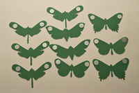 balancerende vlinders